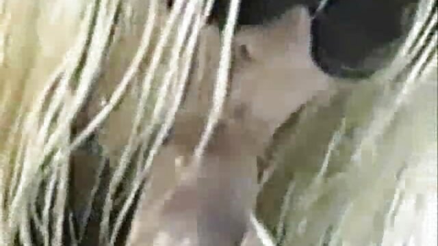 ブラック438をあきらめる 女 教師 h 動画